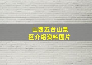 山西五台山景区介绍资料图片