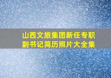 山西文旅集团新任专职副书记简历照片大全集