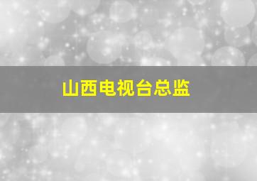 山西电视台总监