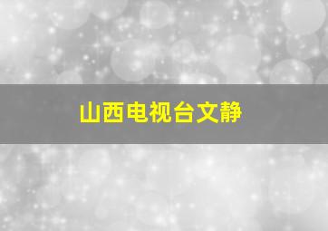 山西电视台文静