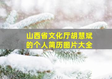 山西省文化厅胡慧斌的个人简历图片大全