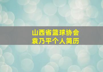 山西省篮球协会袁乃平个人简历