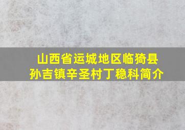 山西省运城地区临猗县孙吉镇辛圣村丁稳科简介