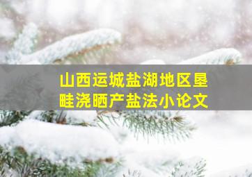 山西运城盐湖地区垦畦浇晒产盐法小论文