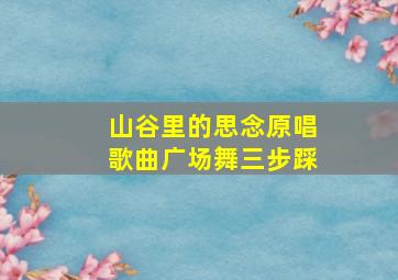 山谷里的思念原唱歌曲广场舞三步踩