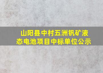 山阳县中村五洲钒矿液态电池项目中标单位公示