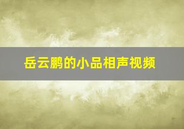 岳云鹏的小品相声视频