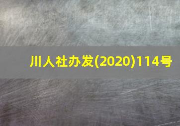 川人社办发(2020)114号