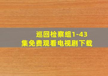 巡回检察组1-43集免费观看电视剧下载