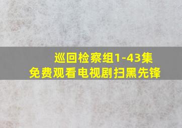 巡回检察组1-43集免费观看电视剧扫黑先锋