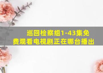 巡回检察组1-43集免费观看电视剧正在哪台播出