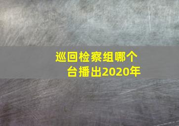 巡回检察组哪个台播出2020年