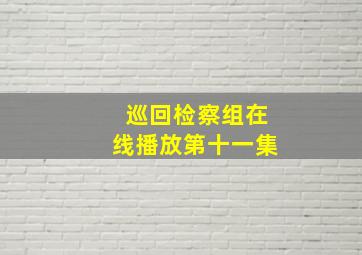 巡回检察组在线播放第十一集