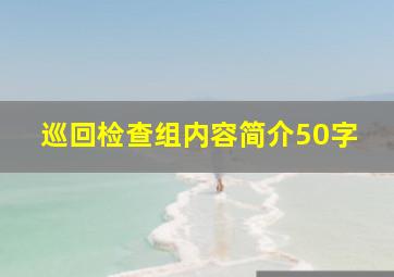 巡回检查组内容简介50字