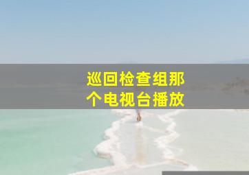 巡回检查组那个电视台播放