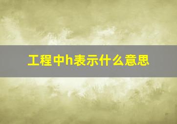 工程中h表示什么意思