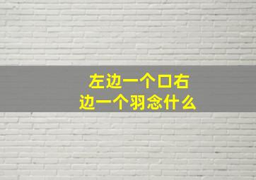 左边一个口右边一个羽念什么