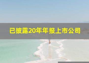 已披露20年年报上市公司