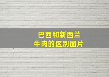 巴西和新西兰牛肉的区别图片