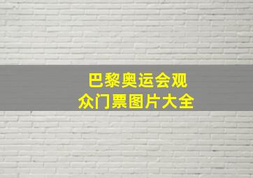 巴黎奥运会观众门票图片大全