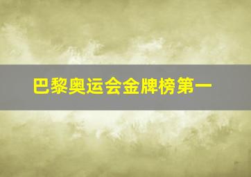 巴黎奥运会金牌榜第一