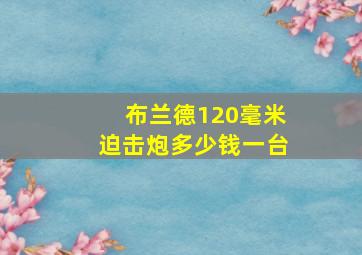 布兰德120毫米迫击炮多少钱一台