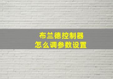 布兰德控制器怎么调参数设置