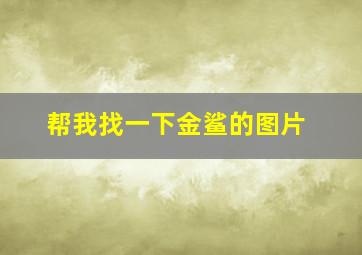 帮我找一下金鲨的图片