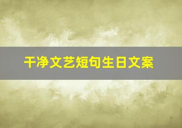 干净文艺短句生日文案