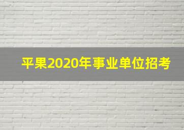 平果2020年事业单位招考