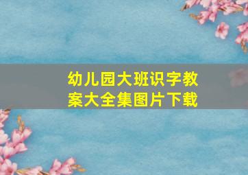 幼儿园大班识字教案大全集图片下载