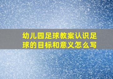 幼儿园足球教案认识足球的目标和意义怎么写