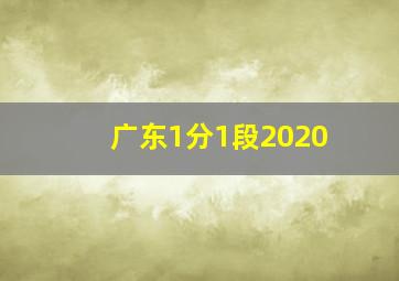 广东1分1段2020