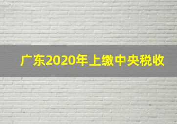 广东2020年上缴中央税收