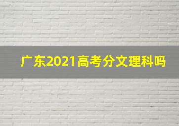 广东2021高考分文理科吗