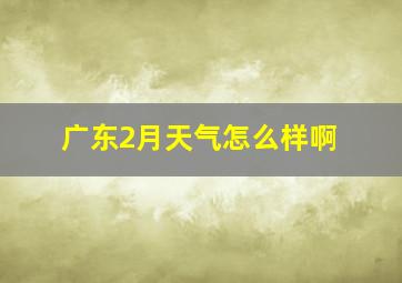 广东2月天气怎么样啊