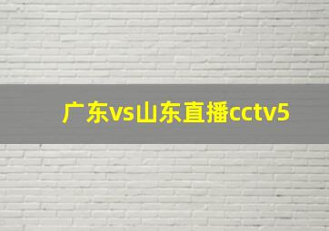 广东vs山东直播cctv5