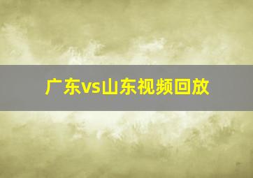 广东vs山东视频回放