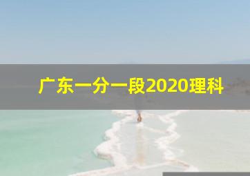 广东一分一段2020理科