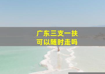 广东三支一扶可以随时走吗