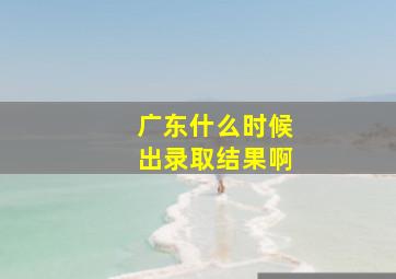 广东什么时候出录取结果啊