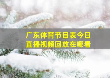 广东体育节目表今日直播视频回放在哪看