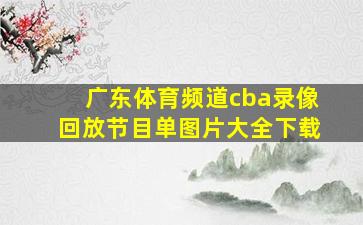 广东体育频道cba录像回放节目单图片大全下载