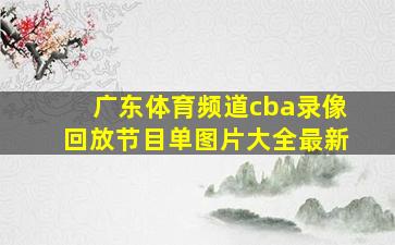 广东体育频道cba录像回放节目单图片大全最新