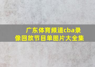 广东体育频道cba录像回放节目单图片大全集