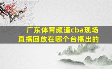 广东体育频道cba现场直播回放在哪个台播出的