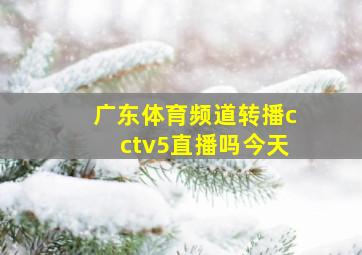 广东体育频道转播cctv5直播吗今天