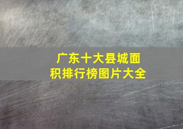 广东十大县城面积排行榜图片大全