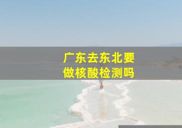 广东去东北要做核酸检测吗