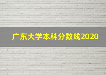 广东大学本科分数线2020